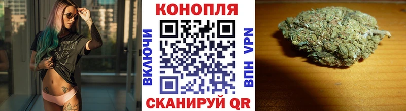 Шишки марихуана тримм  Сосновый Бор 